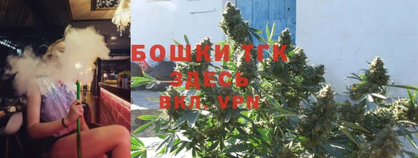дмт Богданович