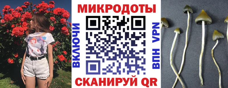 купить наркотики цена  Болотное  Галлюциногенные грибы Magic Shrooms 